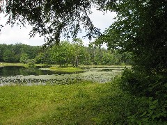 Ed Sidote Hike- Bowman Lake State Park