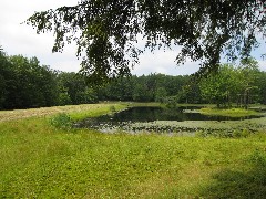 Ed Sidote Hike- Bowman Lake State Park