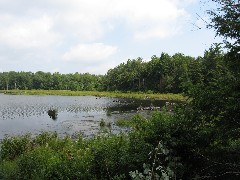 Ed Sidote Hike- Bowman Lake State Park