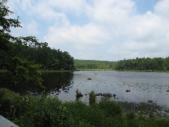 Ed Sidote Hike- Bowman Lake State Park