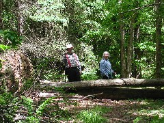 Dan Dorrough; Ruth Bennett McDougal Dorrough; Hiking FLT M23