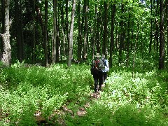 Dan Dorrough; Ruth Bennett McDougal Dorrough; Hiking FLT M23