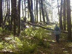 Lyn Jacobs; Ruth Bennett McDougal Dorrough; Hiking NCT FLT M23