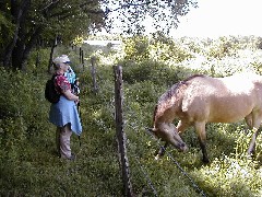 Ruth Bennett McDougal Dorrough; Hiking NCT FLT M24 horse