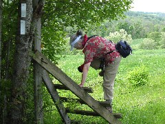 Ruth Bennett McDougal Dorrough; Hiking; NCT; FLT; M-25