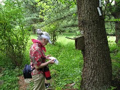 Ruth Bennett McDougal Dorrough; Hiking; NCT; FLT; M-25