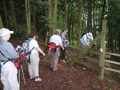 Ruth Bennett McDougal Dorrough; Patty Millard; Donna; Larry; Teresa Blennis; Hiking; NCT; FLT; M-25