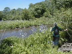 Ruth Bennett McDougal Dorrough; Hiking NCT FLT M25 save