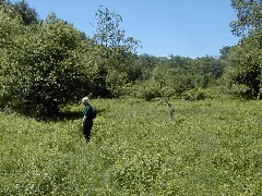 Ruth Bennett McDougal Dorrough; Hiking NCT FLT M25