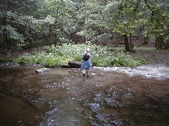 Ruth Bennett McDougal Dorrough; Hiking NCT FLT M25