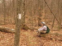 Ruth Bennett McDougal Dorrough; Hiking; NCT; FLT; M-26; Delaware County Hike Series