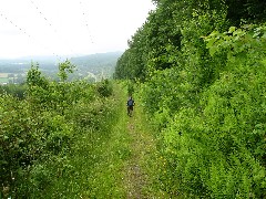 Ruth Bennett McDougal Dorrough; Heidi Rothsfuss; Hiking; NCT; FLT; M-26