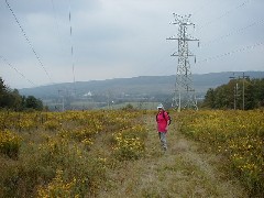 Ruth Bennett McDougal Dorrough; Hiking NCT FLT M27; FLT fall Conference; group hike