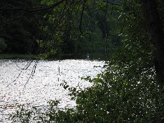 Fisherman in the Delaware River near Peaceful Valley Campground