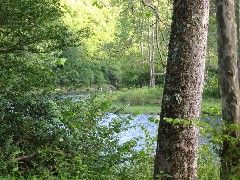 Delaware River near Peaceful Valley Campground