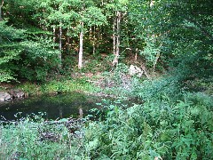 Peaceful Valley Campground (where we camped)