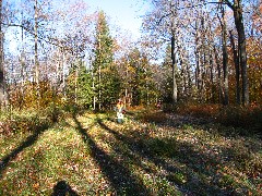 Ruth Bennett McDougal Dorrough; Hiking; NCT; FLT; M-29