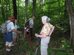 Bob; Sharon; Larry; Ruth Bennett McDougal Dorrough; Catskills Kiking Series