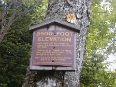 Hiking NCT FLT M31 3500 foot Elevation (Near highest point on FLT)