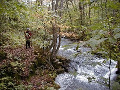 Lyn Jacobs; Hiking FLT M31A