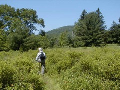 Ruth Bennett McDougal Dorrough; Hiking NCT FLT M32