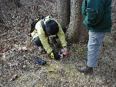 Lyn Jacobs; Geocaching; Hiking;