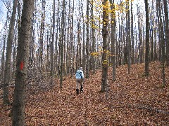 Ruth Bennett McDougal Dorrough; Hiking; Great Eastern Trail; CH1