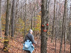 Ruth Bennett McDougal Dorrough; Hiking; Great Eastern Trail; CH1