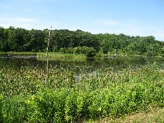 Hiking; Great Eastern Trail; CH2