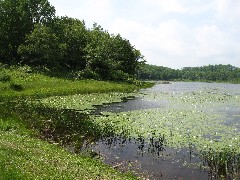 Levi Pond; Hiking; Great Eastern Trail; CH3