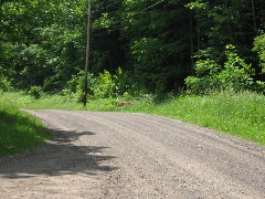 deer; Orr Hill Road ; Hiking; Great Eastern Trail; CH3