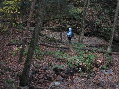 Ruth Bennett McDougal Dorrough; Hiking; Great Eastern Trail