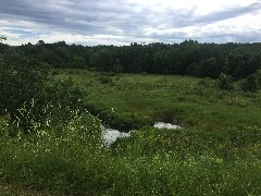 IAT; Gandy Dancer Trail, WI