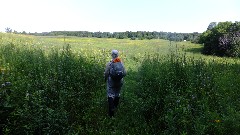 Ruth Bennett McDougal Dorrough; IAT; Lake Segment, WI