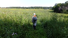 Ruth Bennett McDougal Dorrough; IAT; Lake Segment, WI