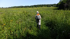 Ruth Bennett McDougal Dorrough; IAT; Lake Segment, WI