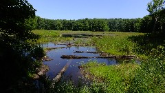 IAT; Timberland Hills Segment, WI