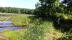 Ruth Bennett McDougal Dorrough; IAT; Timberland Hills Segment, WI