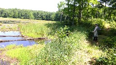 Ruth Bennett McDougal Dorrough; IAT; Timberland Hills Segment, WI