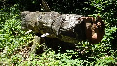 strange log IAT; Timberlland Hills Segment, WI