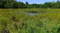 IAT; Grassy Lake Segment, WI