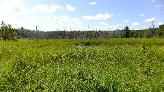 IAT; Grassy Lake Segment, WI