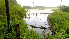 IAT; Hemlock Creek Segment, WI