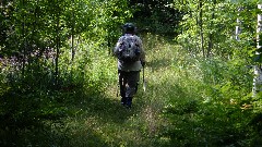 Judy Geisler; IAT; Hemlock Creek Segment, WI