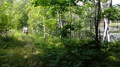 Ruth Bennett McDougal Dorrough; Judy Geisler; IAT; Hemlock Creek Segment, WI