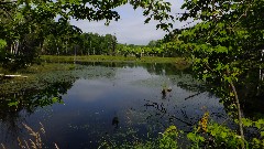 IAT; Hemlock Creek Segment, WI