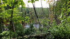 IAT; Hemlock Creek Segment, WI