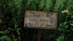 IAT
SIGN What if the hokey pokey is what it s all about