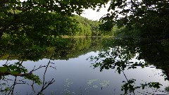 IAT; Hemlock Creek Segment, WI