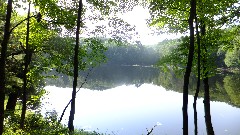 IAT; Chippewa Forest Area, WI